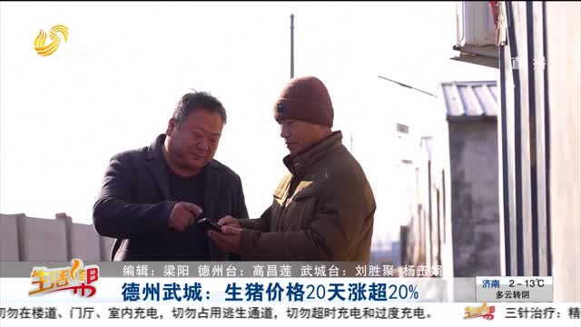 德州武城：生猪价格20天涨超20%