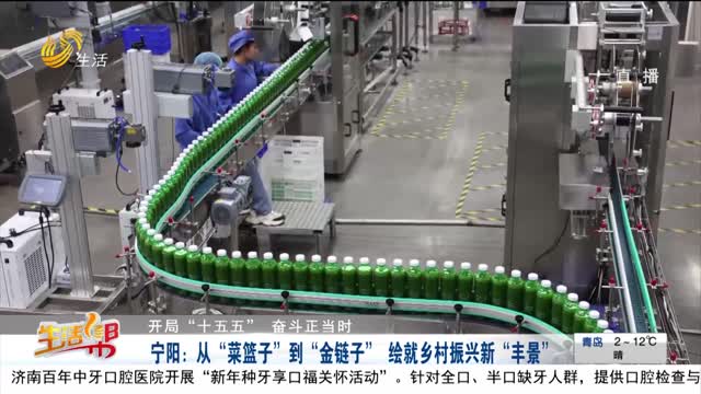 【开局“十五五” 奋斗正当时】宁阳：从“菜篮子”到“金链子” 绘就乡村振兴新“丰景”