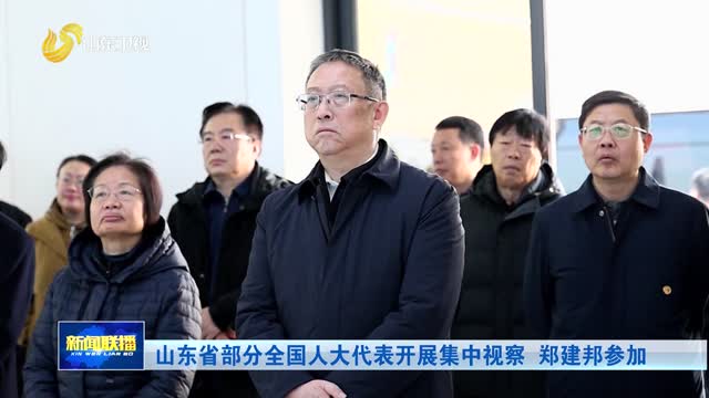 山东省部分全国人大代表开展集中视察 郑建邦参加