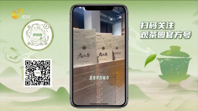 【观茶园】济南CBD茶馆 从濒临关店到被陌生人留住