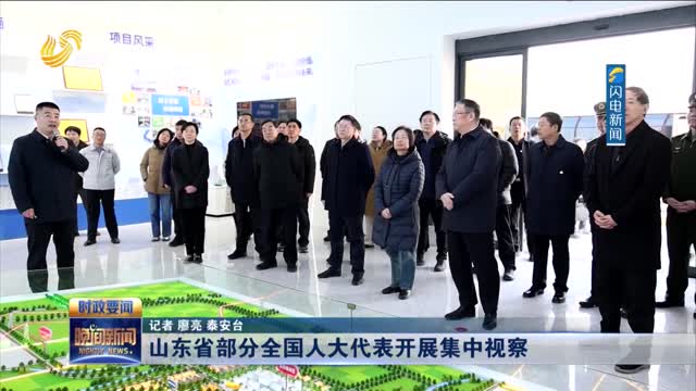 山东省部分全国人大代表开展集中视察