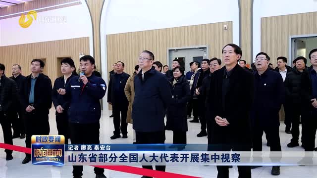山东省部分全国人大代表开展集中视察