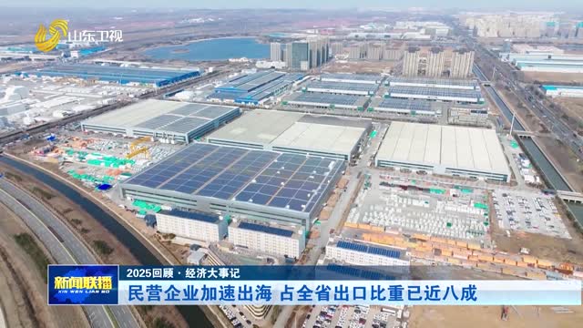 民营企业加速出海 占全省出口比重已近八成【2025回顾·经济大事记】