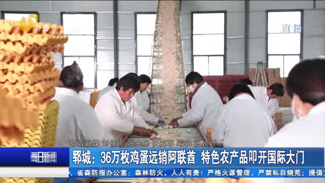郓城：36万枚鸡蛋远销阿联酋 特色农产品叩开国际大门