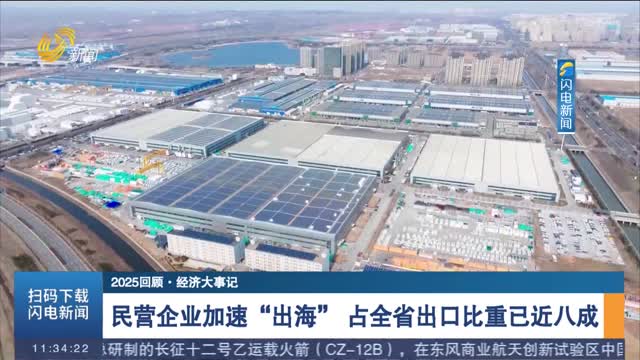【2025回顾·经济大事记】民营企业加速“出海” 占全省出口比重已近八成