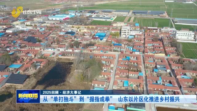 从“单打独斗”到“握指成拳” 山东以片区化推进乡村振兴【2025回顾·经济大事记】