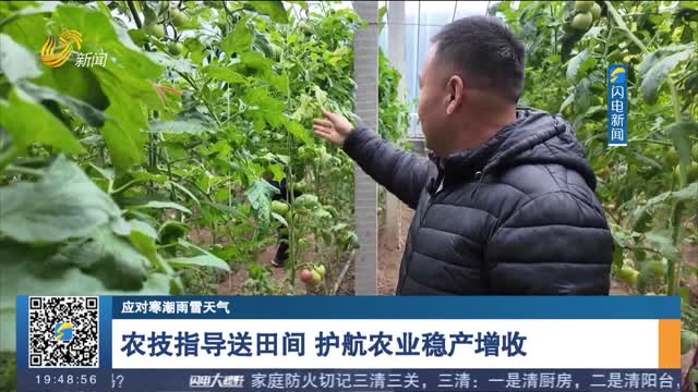 【应对寒潮雨雪天气】农技指导送田间 护航农业稳产增收