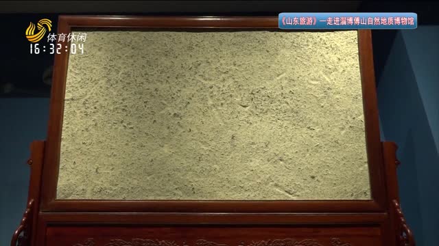 2026年01月19日《山东旅游》完整版