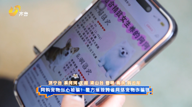 网购宠物当心被骗！警方摧毁跨省网络宠物诈骗链
