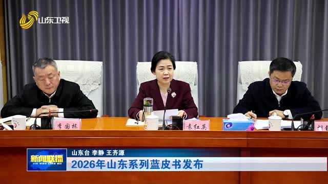 2026年山东系列蓝皮书发布