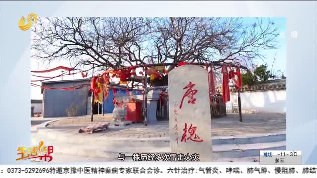 打卡宝藏小城 鱼丘湖畔生态高唐