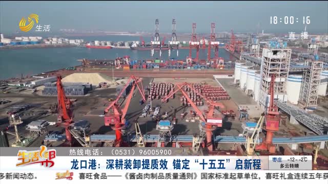 龙口港：深耕装卸提质效 锚定“十五五”启新程
