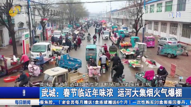 武城：春节临近年味浓 运河大集烟火气爆棚