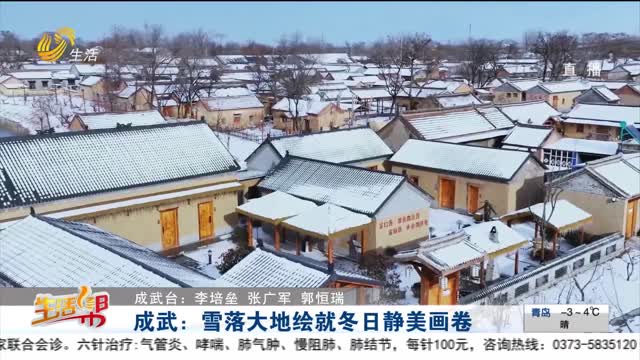 成武：雪落大地绘就冬日静美画卷