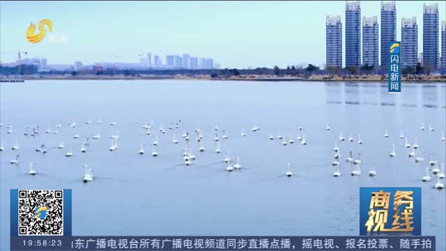 解锁威海冰雪变“热”的N种方式