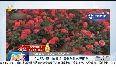 【帮办出马】“太空月季”回来了 会开出什么样的花