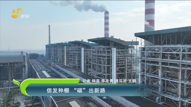 信發(fā)種棚 “碳”出新路