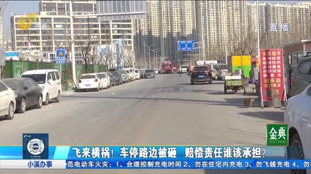 飞来横祸！车停路边被砸 赔偿责任谁该承担？