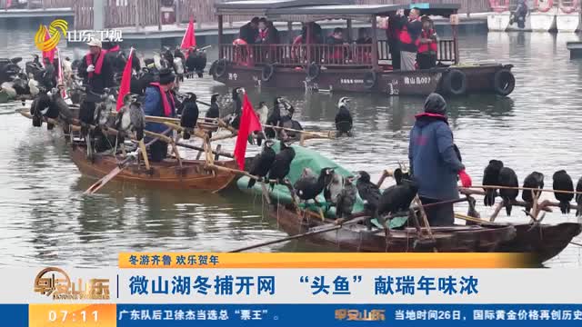 【冬游齐鲁 欢乐贺年】微山湖冬捕开网 “头鱼”献瑞年味浓