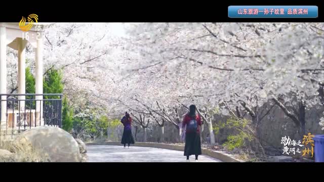 2026年01月27日《山东旅游》完整版