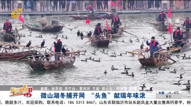 微山湖冬捕开网 “头鱼”献瑞年味浓