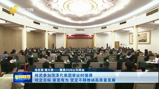 林武参加菏泽代表团审议时强调 咬定目标 奋发有为 坚定不移推动高质量发展【走在前 挑大梁——聚焦2026山东两会】