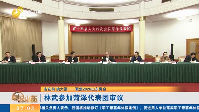 【走在前 挑大梁——聚焦2026山东两会】林武参加菏泽代表团审议