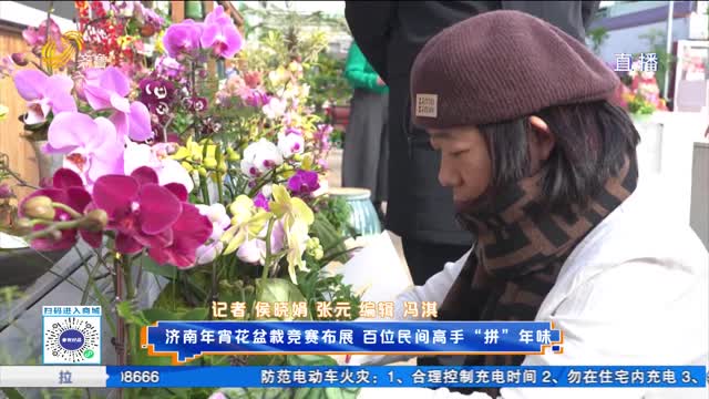 济南年宵花盆栽竞赛布展百位民间高手“拼“年味