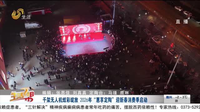 千架无人机炫彩绽放 2026年“惠享定陶”迎新春消费季启动