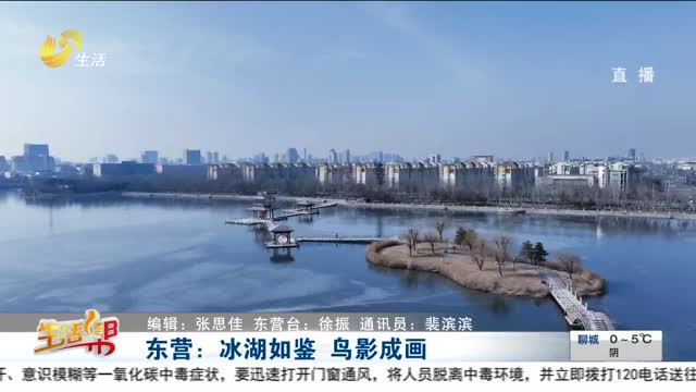 东营：冰湖如鉴 鸟影成画