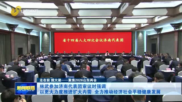林武参加济南代表团审议时强调 以更大力度推进扩大内需 全力推动经济社会平稳健康发展【走在前 挑大梁——聚焦2026山东两会】