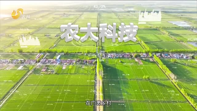 农大科技：根植华夏沃土 服务天下农耕