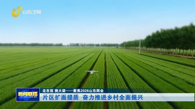 片区扩面提质 奋力推进乡村全面振兴【走在前 挑大梁——聚焦2026山东两会】