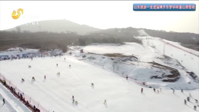 2026年01月31日《山东旅游》完整版