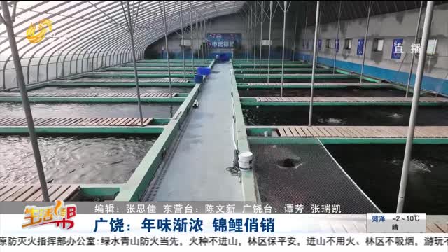 广饶：年味渐浓 锦鲤俏销