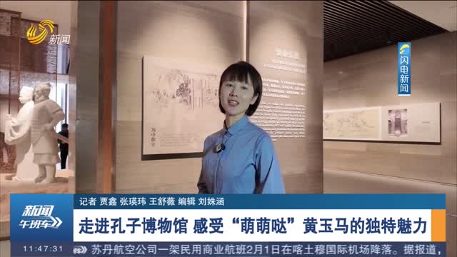 【寻找山东的流量密“马”】走进孔子博物馆 感受“萌萌哒”黄玉马的独特魅力