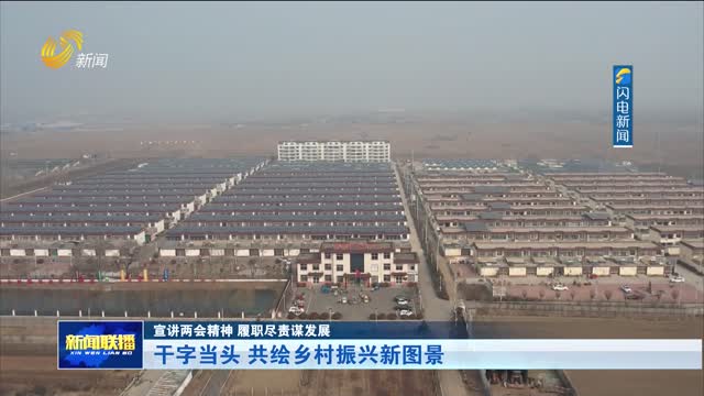 干字当头 共绘乡村振兴新图景【宣讲两会精神 履职尽责谋发展】