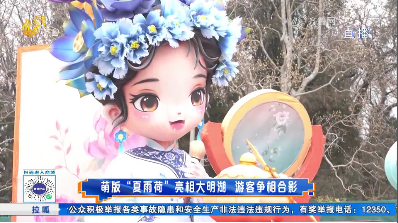 萌版“夏雨荷”亮相大明湖 游客争相合影