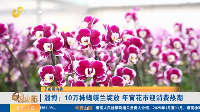 【节前看消费】淄博：10万株蝴蝶兰绽放 年宵花市迎消费热潮