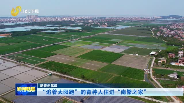 “追着太阳跑”的育种人住进“南繁之家”【新春走基层】