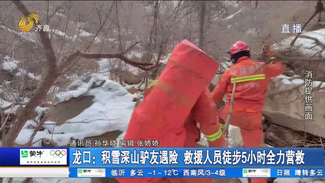 龙口：积雪深山驴友遇险 救援人员徒步5小时全力营救