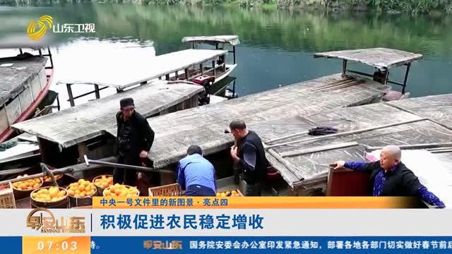 【中央一号文件里的新图景·亮点四】积极促进农民稳定增收