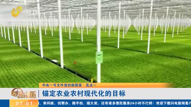 【中央一号文件里的新图景·亮点一】锚定农业农村现代化的目标