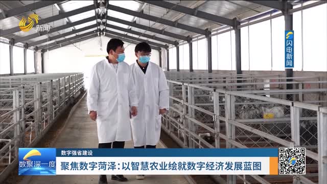 数字强省建设｜数字变革创新：聚焦数字菏泽——以智慧农业绘就数字经济发展蓝图