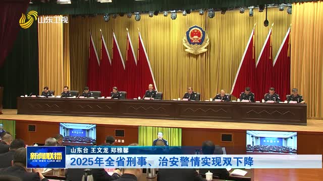2025年全省刑事、治安警情实现双下降