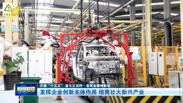 发挥企业创新主体作用 培育壮大新兴产业【开局“十五五” 奋斗正当时·省两会精神解读】