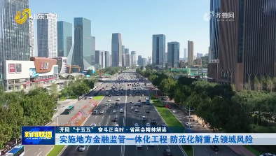 实施地方金融监管一体化工程 防范化解重点领域风险【开局“十五五” 奋斗正当时·省两会精神解读】