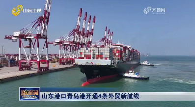 山东港口青岛港开通4条外贸新航线