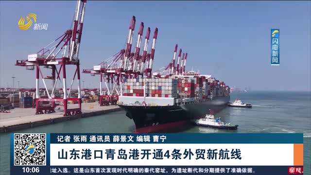 山东港口青岛港开通4条外贸新航线