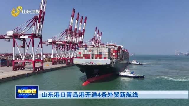 山东港口青岛港开通4条外贸新航线
